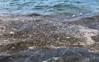 Caddebostan Sahili’nde oluşan çöpler havadan görüntülendi