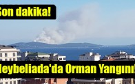 Son dakika… Heybeliada’da orman yangını