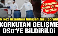 Korkutan gelişme
