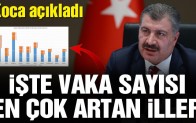 Bakan Fahrettin Koca vaka sayısı en çok artan illeri açıkladı
