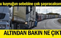 Bu Kuyruğun Sebebine Çok Şaşıaraksınız