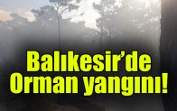 Balıkesir’de orman yangını