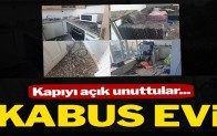Kapıyı açık unuttular, döndüklerinde kabusu yaşadılar