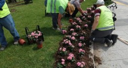 Düzce’de bahar çiçekleri dikimi devam ediyor