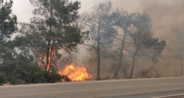 KKTC’de çıkan yangın büyük ölçüde kontrol altına alındı!