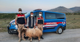 Hayvan hırsızlarına suçüstü