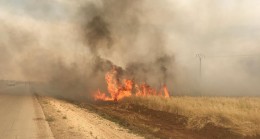 YPG/PKK, sivillerin tarım arazisini yakmaya devam ediyor