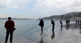 Yasak kalktı, Bebek Sahili hareketlendi