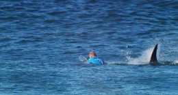 Avustralya’da sörfçü köpekbalığı saldırısında öldü