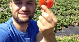 Bu çileğin sırrı “Sevgi” ile üretilmesi