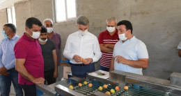 Kayısı boylama makinesi beğenildi