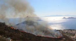 Turizm cenneti alevlere teslim oldu