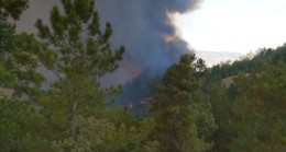 Çorum’da orman yangını