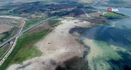 Büyükçekmece Gölü’nde korkutan manzara böyle görüntülendi