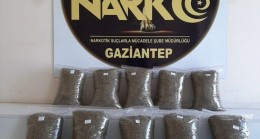 Gaziantep’te 10 kilo bonzai yakalandı