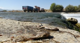 Muş’ta balık ölümleri tedirgin etti