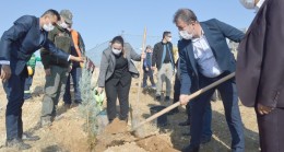 Besni’de fidan dikimi gerçekleştirildi