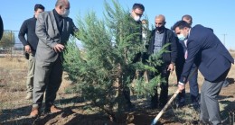 Bulanık’ta fidan dikimi