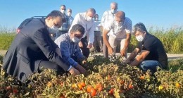 Esgin’den çifçiye ödeme müjdesi