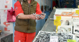 Fatsa’da yerli hamsi 10 TL