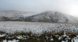 Kar Posof’ta köylere kadar indi