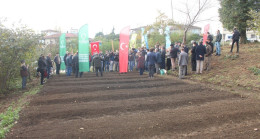 Salep artık Ünye’de de üretilecek