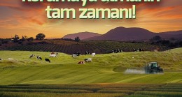 TARSİM: