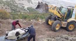Uçuruma düşen inek kurtarıldı