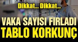 Vaka Sayıları Fırladı