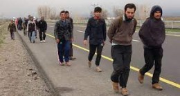 BM Uluslararası Göç Örgütü yöneticisi: ‘Afganistan’dan Türkiye’ye büyük bir göçmen akını gerçekleşmedi’