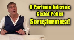 O Partinin liderine  Sedat Peker  Soruşturması!