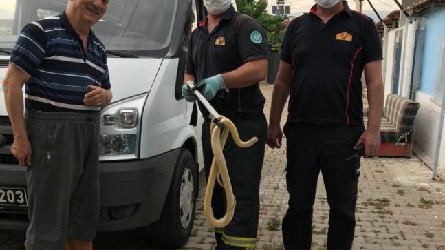 Manisa’da evde yılan paniği