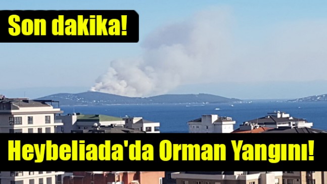 Son dakika… Heybeliada’da orman yangını