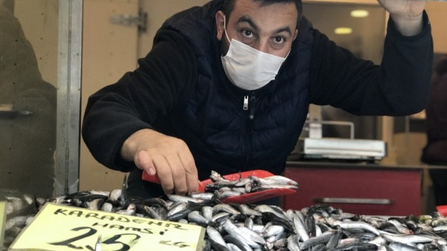 Hamsinin fiyatı yarı yarıya düştü