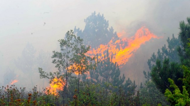Aydos Ormanı’nda yangın çıktı