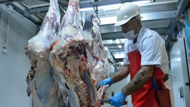 Almanya’da mezbaha çalışanlarının testi pozitif çıktı