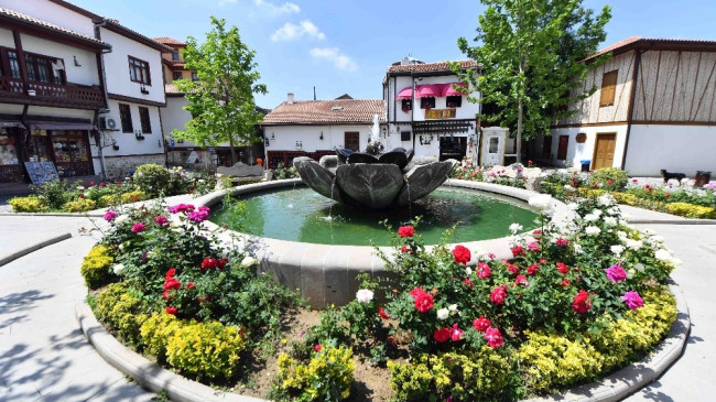 Çiçek gibi Başkent