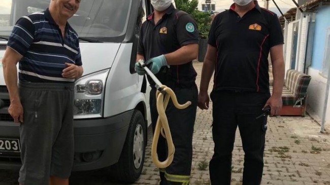 Manisa’da evde yılan paniği