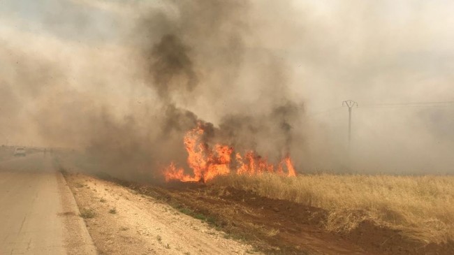 YPG/PKK, sivillerin tarım arazisini yakmaya devam ediyor