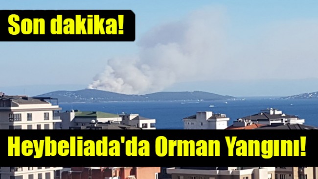Son dakika… Heybeliada’da orman yangını