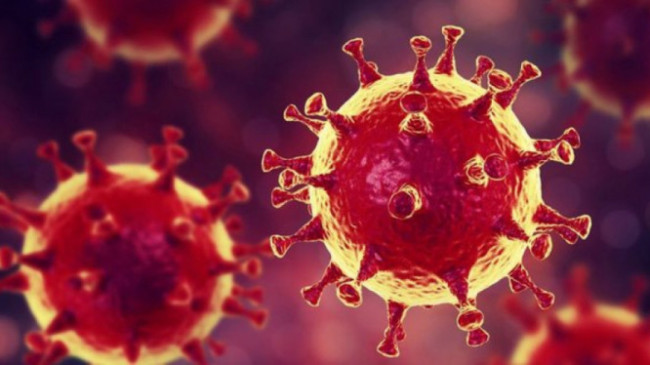 Brezilya, Meksika ve Kolombiya’da salgının bilançosu ağırlaşıyor