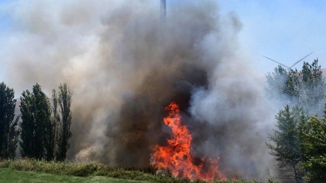 Aliağa’da tarla yangını