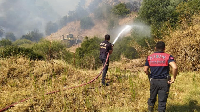 Aydın’daki yangın tekrar alevlendi