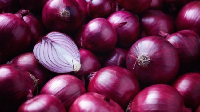 Kanada’da Salmonella paniği