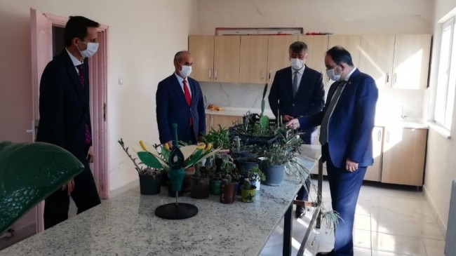 Bafra’nın ’Yeşil Elmas’ını üretiyor