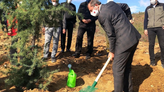 Gürsu’da fidanlar toprakla buluştu