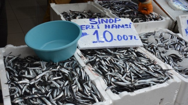 Sinop’ta yerli hamsi 10 TL’ye düştü