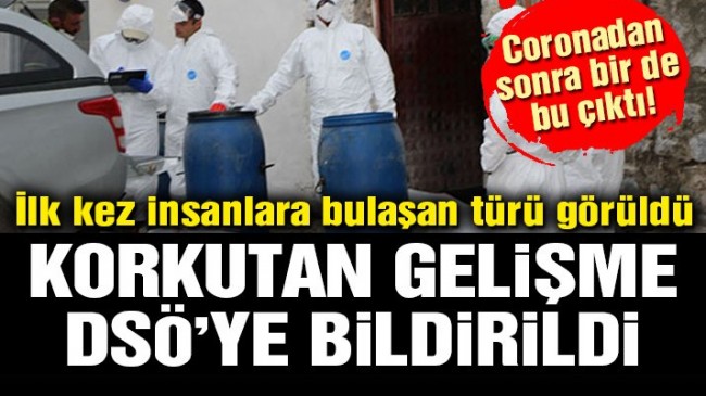 Korkutan gelişme