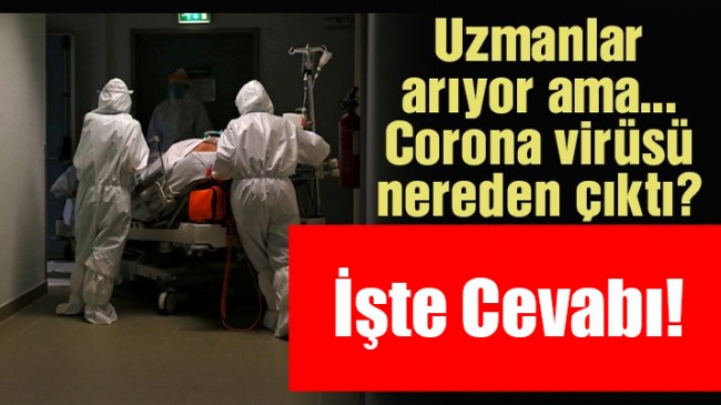 Corona virüsünün kökenini araştıran DSÖ’den Cevap