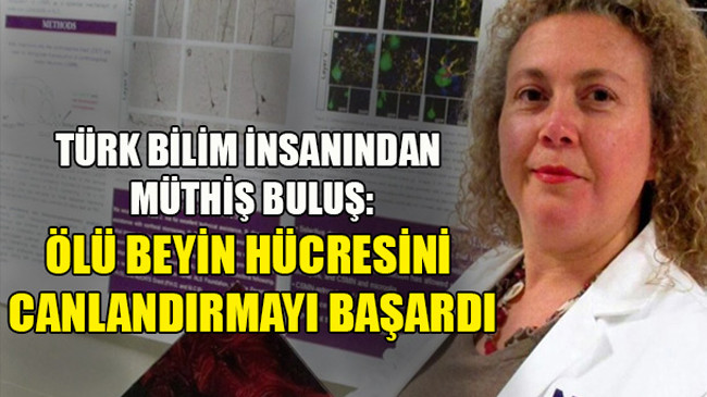 Türk bilim insanı Doç. Dr. Hande Özdinler ölü beyin hücrelerini yeniden canlandırdı